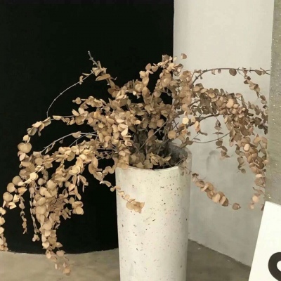 兽设晴天场景绘制兽圈社群